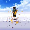 [SK] Fly Particles