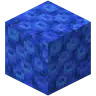 SaveTheCoral