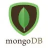 MongoDB API for Minecraft