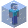 Freeze