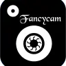 FancyCam