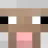 Custom Mobs Names