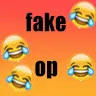 SpgtMcCoderDevFakeOp