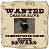 PlayerWanted