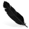 Fly On Join
