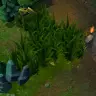 HideInBush