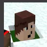 /Head // /skull Plugin fo 1.15+
