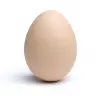 RandomEgg