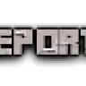 Report | SKRIPT | 1.8 - 1.9 |