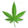 CustomDrugs  99% EDITABLE