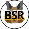 [WetSponge] BattleSteves: Addon - Groups System (Default and Custom Groups)