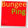 BungeePing