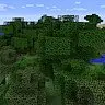 ForestBigTrees