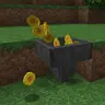 Coins