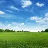 Land++
