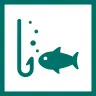 Amazing Fishing