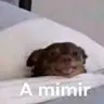 Mimision 2