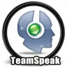 TeamSpeak verifier