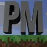 Project Manager