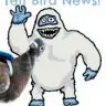 The Yeti Bird News