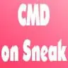 CommandOnSneak