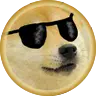 Doge Chat