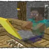 ProPlayerHide