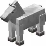 HorseInfoTags