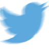 CraftBird