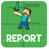 Report