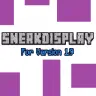 SneakDisplay