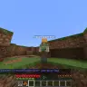 DMReport (Dutch)
