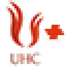 UHC-Addon Custom Item Tags