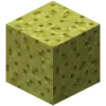 SpongeHub