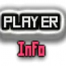 PlayerInfo