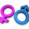 Gender