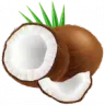 Coco Core