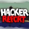 Report