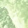 SkJade