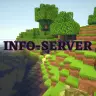 ViewServerInfo