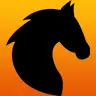 PocketHorses [1.13-1.20]  |✨Create your own horses✨| In-game editor, ModelEngine, MySQL and more!