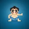 NRSumo