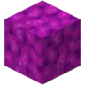 CoralStay