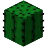 Super Cactus