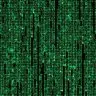 Bug Report