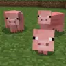 BreedingTwins