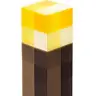 Torch Light