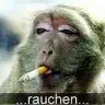 AntiWerbung (Skript)