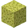 AntiSpongeAbsorbtion