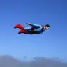 Gui Fly